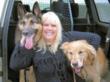 Animal Friends Insurance celebrates hitting 100,000 likes on their...